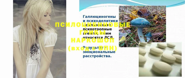 сатива Новозыбков