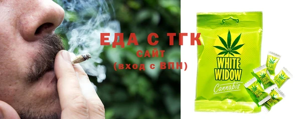 сатива Новозыбков