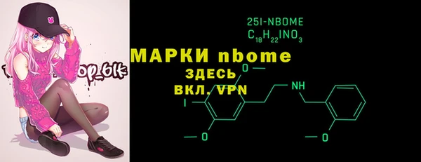 сатива Новозыбков