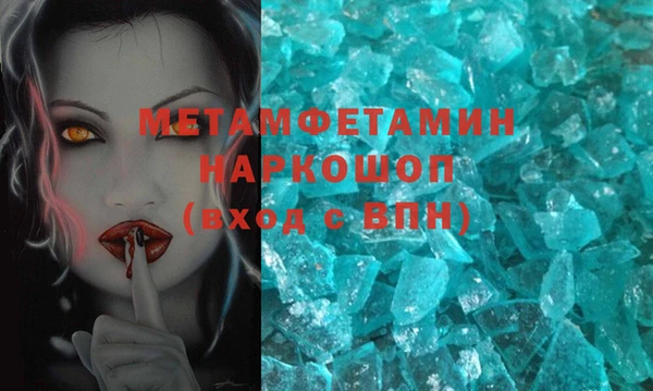 сатива Новозыбков