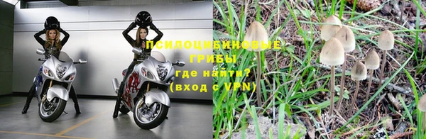 PSILOCYBIN Нягань