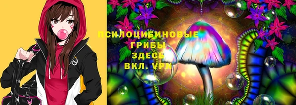 apvp Няндома