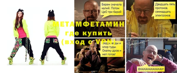 сатива Новозыбков