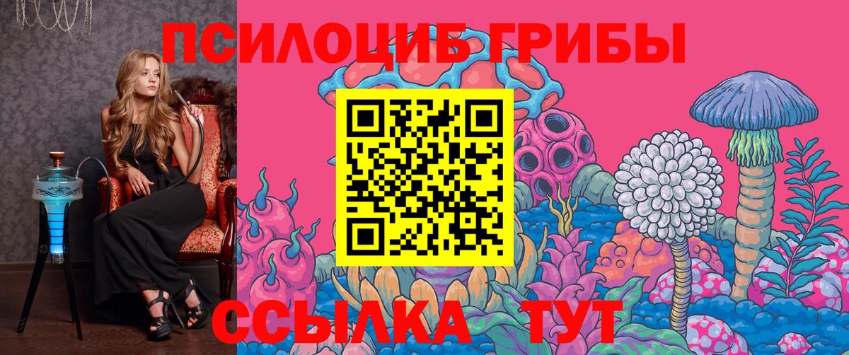Псилоцибиновые грибы Cubensis Анапа