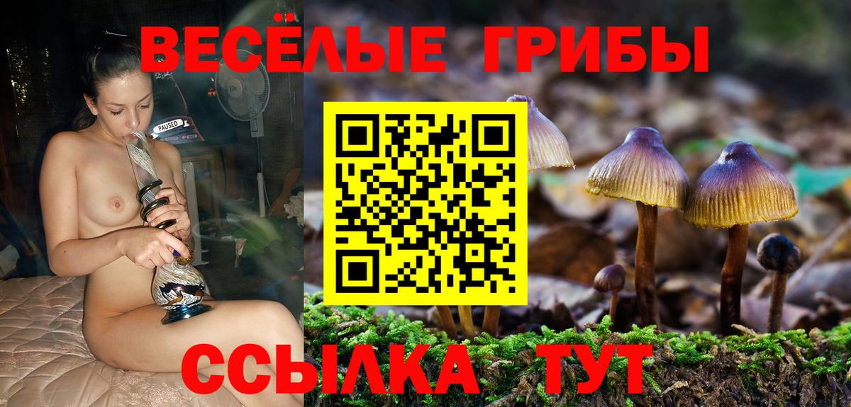 Анапа  Псилоцибиновые грибы мицелий  Вход с VPN 