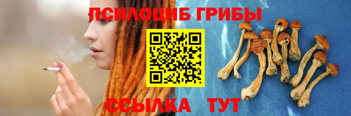 Галлюциногенные грибы Magic Shrooms  Вход с VPN  Анапа  Псилоцибиновые грибы мицелий 