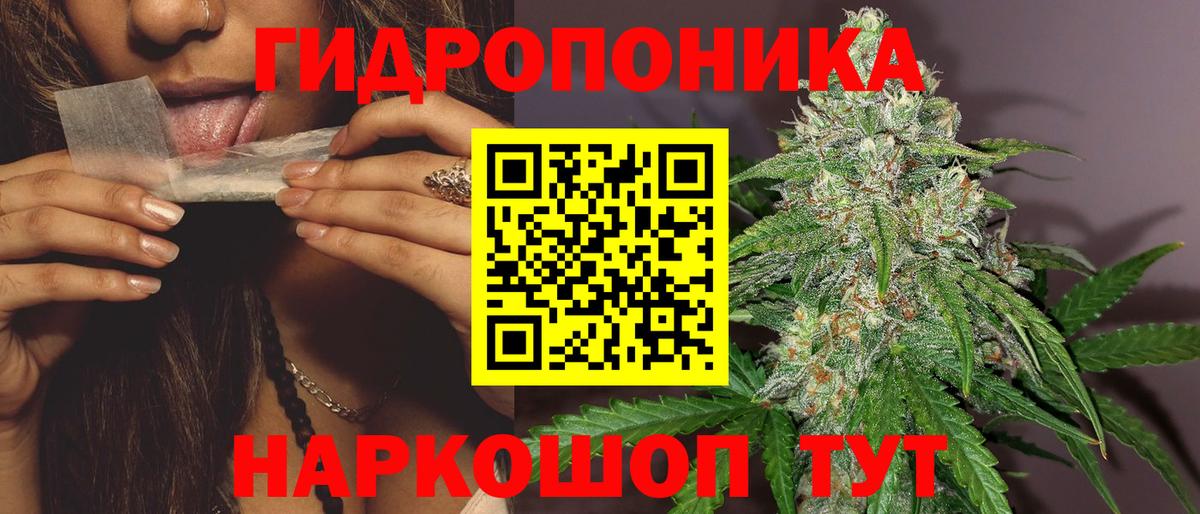 Канабис семена  Каннабис MAZAR  Конопля AK-47  Вход с VPN  Анапа 